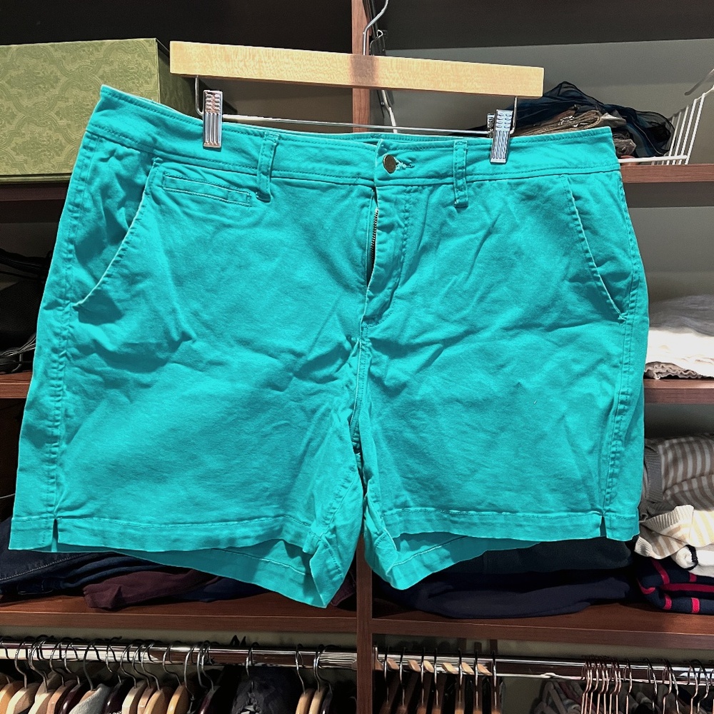 Market & Spruce Kelly Green Shorts 20W